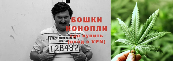 дмт Нея