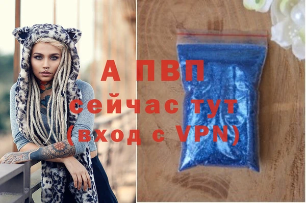 прущие крисы Новозыбков