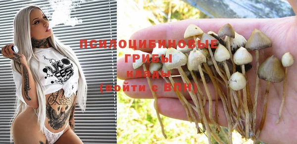 дмт Нея
