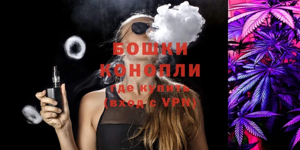дмт Нея