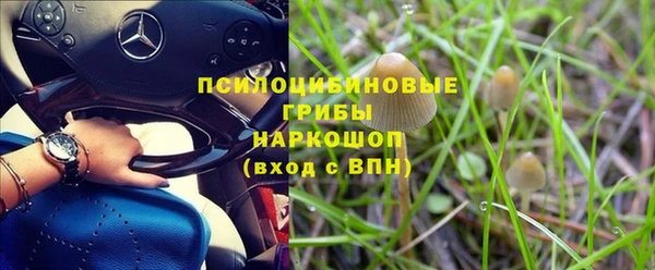 эйфоретик Нефтекумск