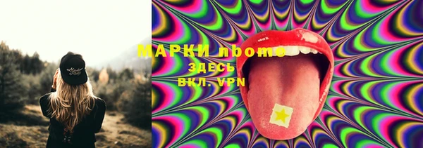 дмт Нея