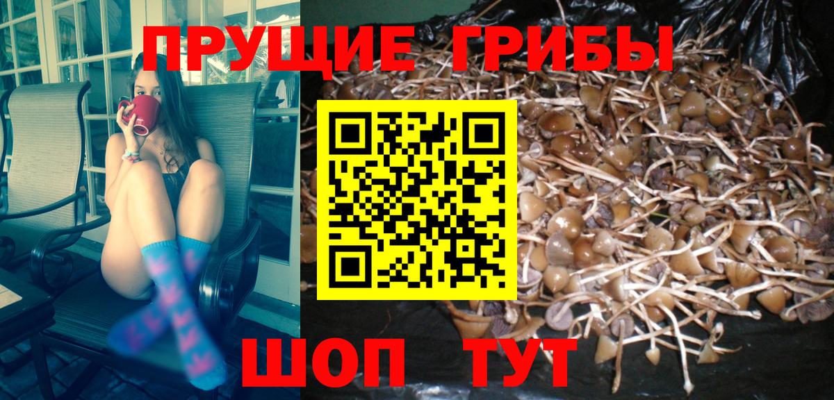 Галлюциногенные грибы Magic Shrooms Старая Русса
