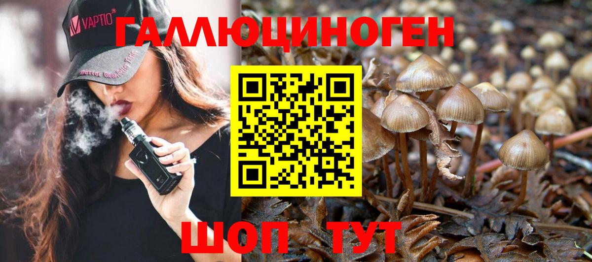 Старая Русса  магазин    Вход с VPN  Псилоцибиновые грибы Cubensis  Псилоцибиновые грибы прущие грибы 